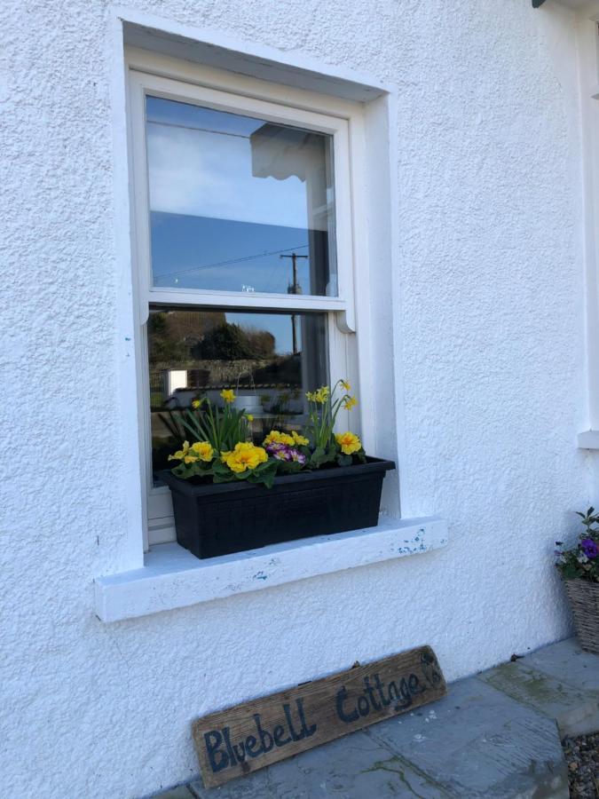 Bluebell Cottage Kilmore Quay Exteriör bild